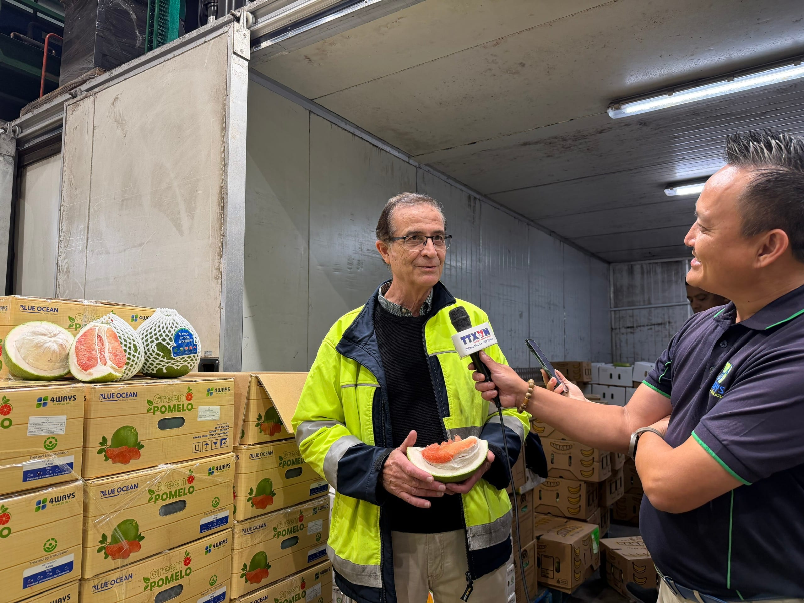 OFFICIAL: VIETNAMESE POMELOS ENTER AUSTRALIA FOR THE FIRST TIME – A RESULT OF MARKET ACCESS NEGOTIATIONS & COMPLIANCE WITH QUALITY STANDARDS